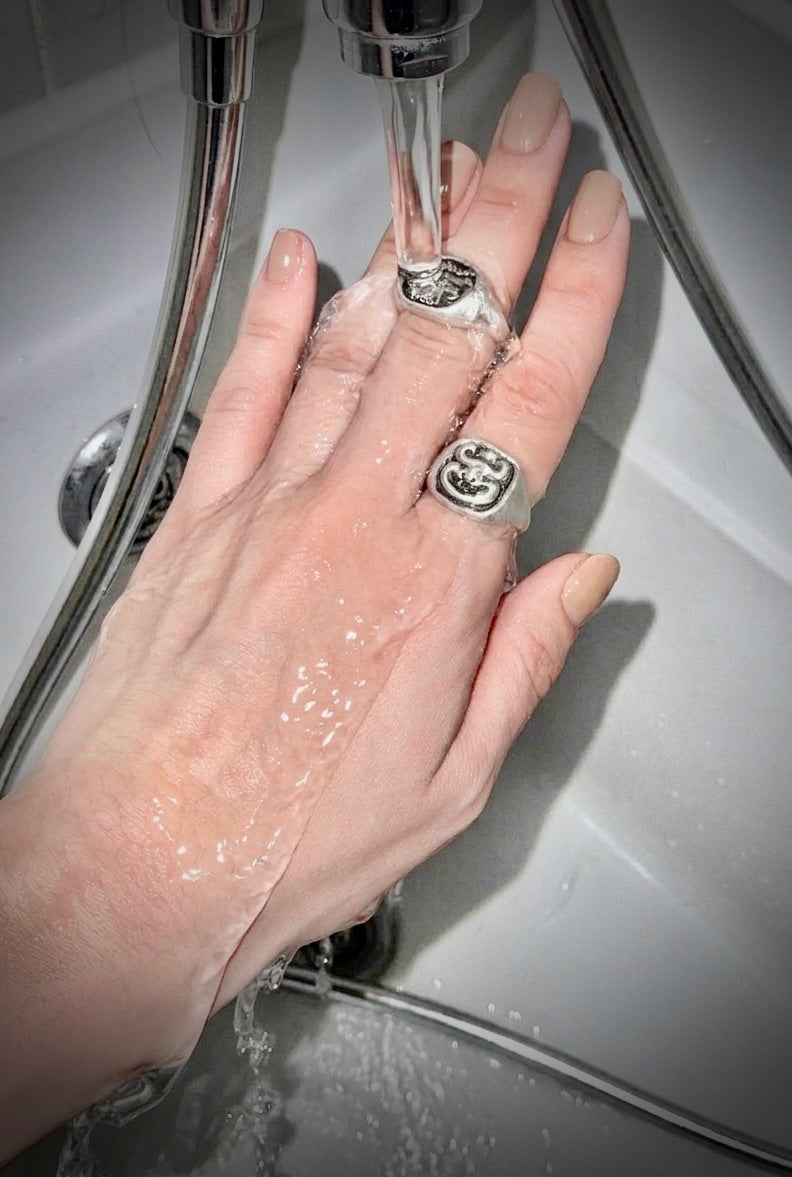 MUON Guardian Ring No.2