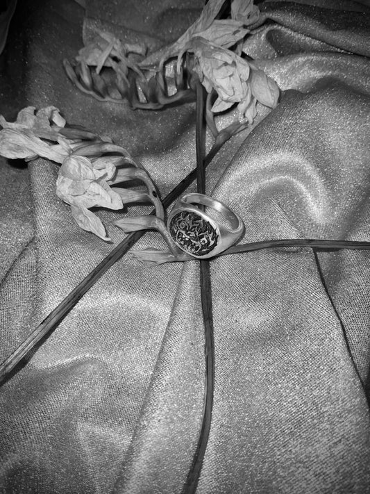 [B cut] MUON Guardian Ring No.1